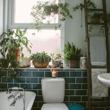 Plants in a Small Bathroom