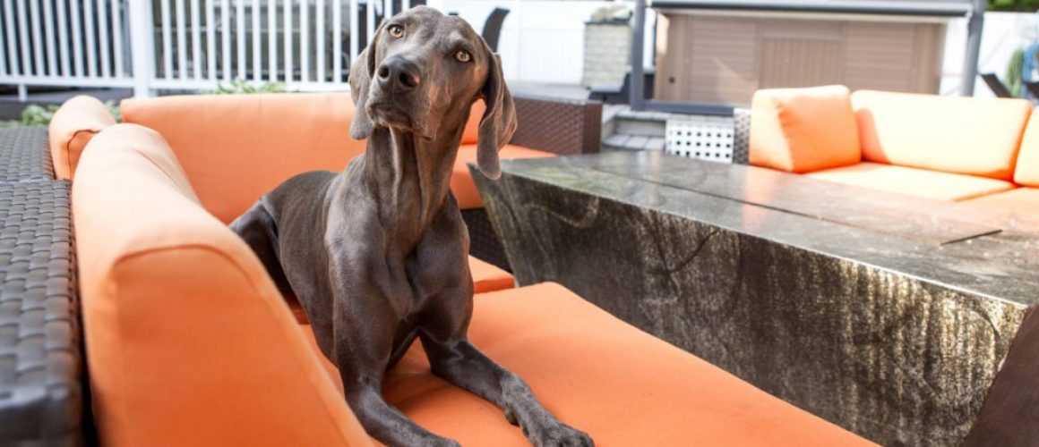 Pet Friendly Patio Rockridge Furniture Design - Dog Safe Patio Furniture