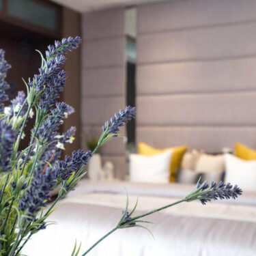 lavender plant in bedroom