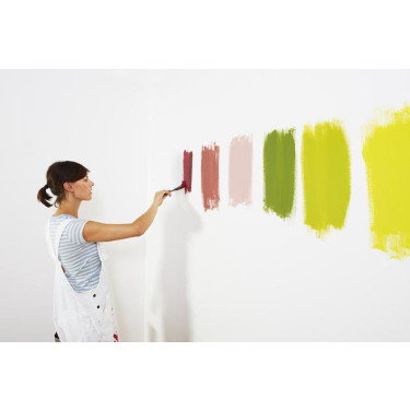 Sample Paint Colors on the Wall
