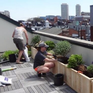 Small garden on rooftop