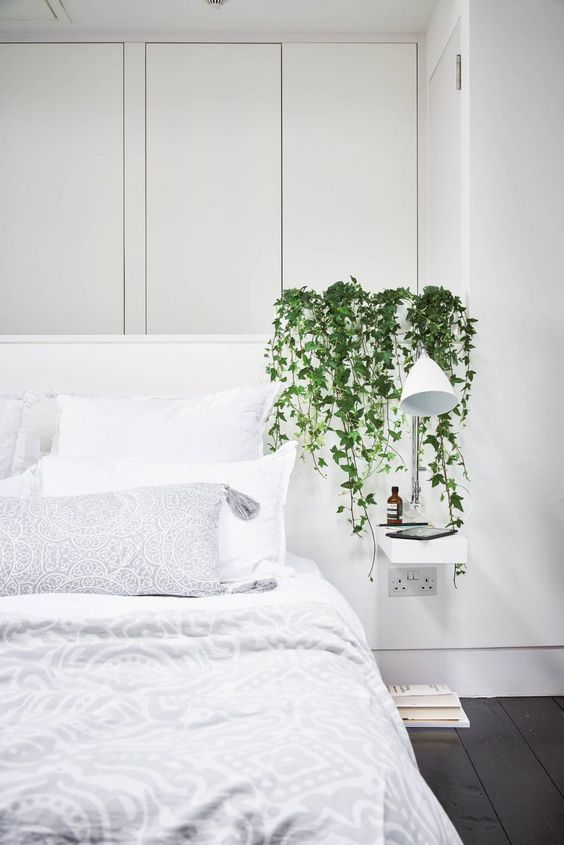 5 Houseplants That Can Help You Sleep