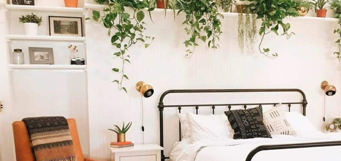Plants above bed to help you sleep