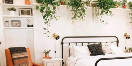 Plants above bed to help you sleep