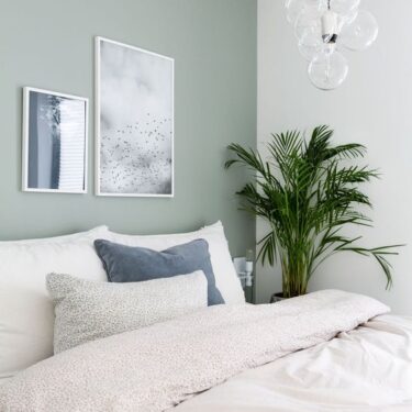 Bedroom paint Color -Accent Wall