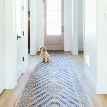 dog on rug in hallway