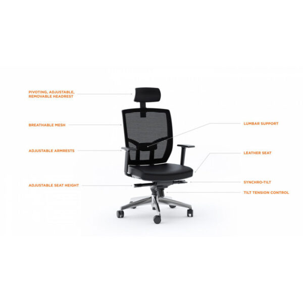 Ergonomic-Executive-Chair-with-Headrest