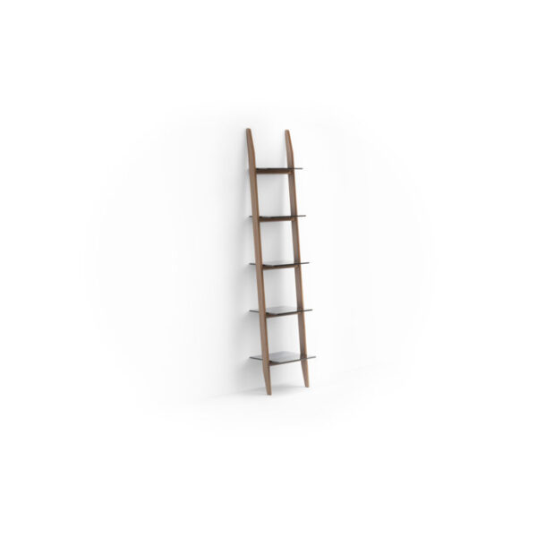 Stiletto-Ladder-Storage-Bookcase