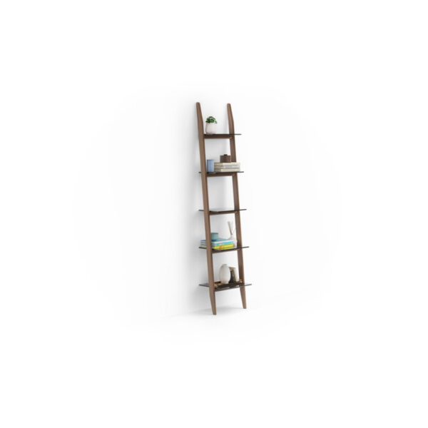 Stiletto-Ladder-Storage-Bookcase