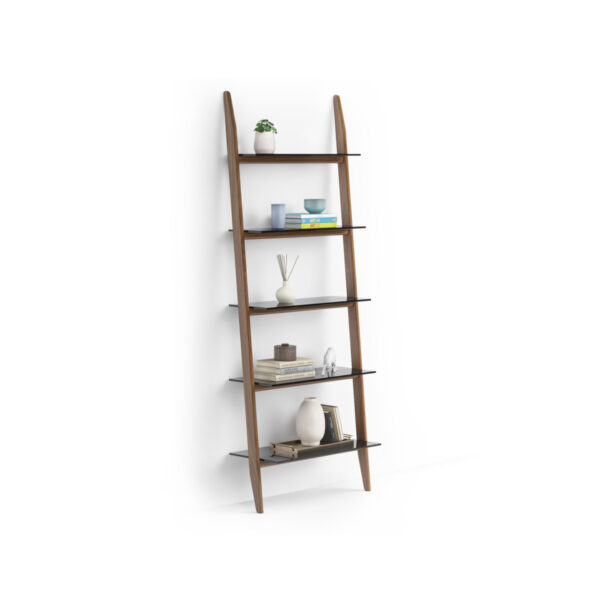 stiletto-BDI-leaning-ladder-shelf-5702-wl-2-3200
