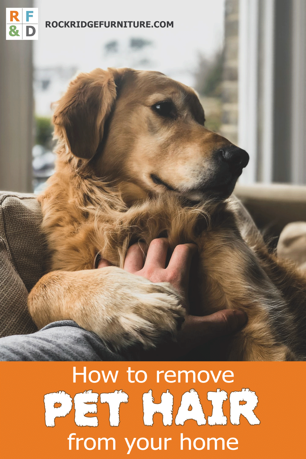 remove-Pet-hair